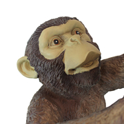 Image Thumbnail for MAKOKOU THE CLIMBING MONKEY